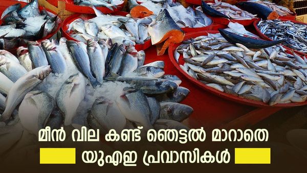 യുഎഇയില്‍ മീന്‍ വില കുതിക്കുന്നു; മത്തിയൊന്നും കിട്ടാനില്ല, ഇരട്ടിയിലേറെ വർധനവ്; കാരണം ഇതാണ്