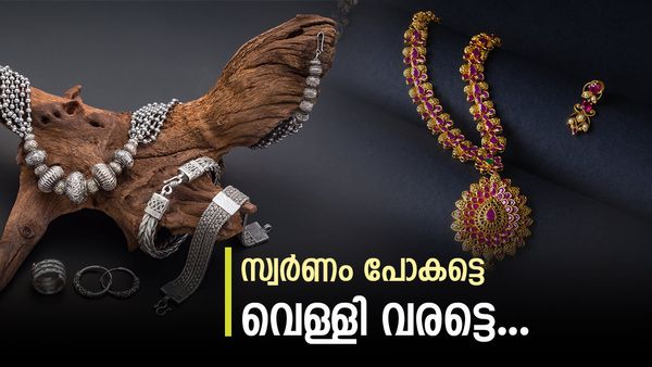 ആറ് മാസത്തിനുള്ളില്‍ 20% ആദായം.. സ്വര്‍ണത്തേക്കാള്‍ ലാഭം വെള്ളിയോ? ഈ കണക്കുകള്‍ നോക്കൂ