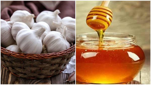 7 ദിവസം വെറും വയറ്റിൽ വെളുത്തുള്ളി-തേൻ കോമ്പോ കഴിച്ചാൽ എന്തുസംഭവിക്കും? ഒന്നല്ല, ​ഗുണങ്ങളേറെ..