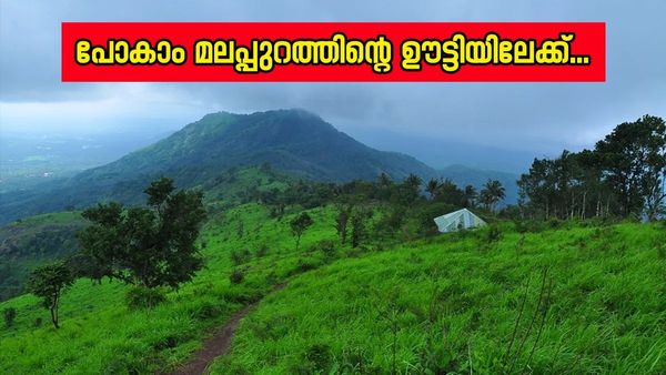 കോടയും തണുപ്പും അനുഭവിക്കാം; കൊടികുത്തി മലയിലേക്ക് സഞ്ചാരികളുടെ ഒഴുക്ക്, കാഴ്‌ചകൾ എന്തൊക്കെ?