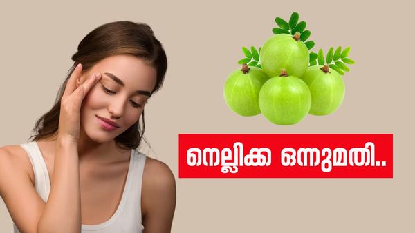 മുഖവും തിളങ്ങും മുടിയും വളരും, ഒറ്റ നെല്ലിക്ക മതി; ഈ സമയത്ത് കഴിച്ചാൽ ഫലം ഉറപ്പല്ലേ..!