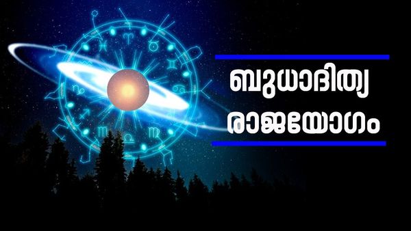 ഈ രാശിക്കാർക്ക് വെറും രാജയോ​ഗമല്ല,  ഡിസംബർ വരെ അപൂർവ രാജയോ​ഗം; ഇനി കുബേര ജീവിതം