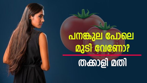 മുടി ഇനി മുട്ടോളം വളരും; തക്കാളി കൊണ്ട് വീട്ടിൽ തയ്യാറാക്കാം ഈ 5 ഹെയർ മാസ്കുകൾ
