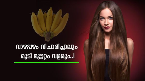 വാഴപ്പഴവും ഇത്തിരി തൈരുമുണ്ടോ? സ്വിച്ചിട്ട പോലെ മുടി കൊഴിച്ചിൽ നിൽക്കും; തയ്യാറാക്കാം ഹെയർ മാസ്ക്