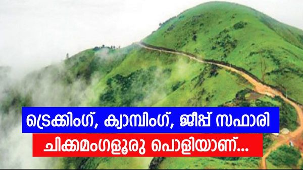 വിന്ററിൽ ചിക്കമംഗളൂരു യാത്ര പോയാലോ? രണ്ട് ദിവസം കൊണ്ട് കണ്ട് തീർക്കാൻ അടിപൊളി സ്പോട്ടുകൾ ഇതാ