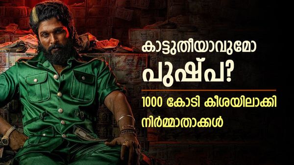 റിലീസിന് മുൻപ് തന്നെ പുഷ്‌പ രണ്ടാം ഭാഗം 1000 കോടി ക്ലബിൽ? അല്ലു വെറുതെയല്ല 300 കോടി വാങ്ങിയത്..! കാരണം ഇത്