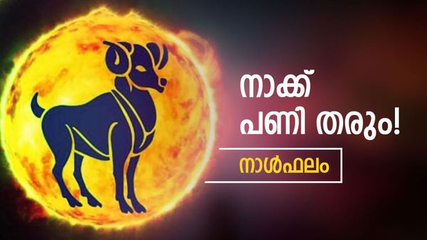 ഈ നാളുകാർ ഇന്ന് ചീത്തപ്പേര് കേൾക്കും, നാക്ക് സൂക്ഷിക്കണം, ഇന്നത്തെ നാൾഫലം അറിയാം