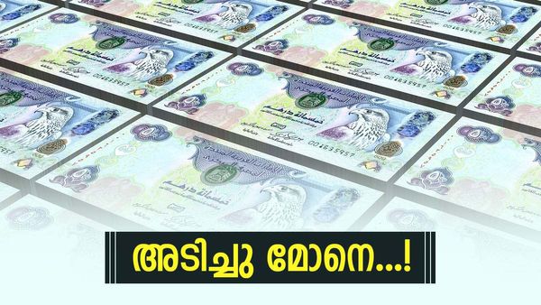 മലയാളിയുടെ ഒരു ഭാഗ്യമേ..! ദുബായ് ഡ്യൂട്ടി ഫ്രീ നറുക്കെടുപ്പിലെ ഗ്രാന്റ് പ്രൈസ് മലയാളിക്ക്, സമ്മാനത്തുക കേട്ടോ?