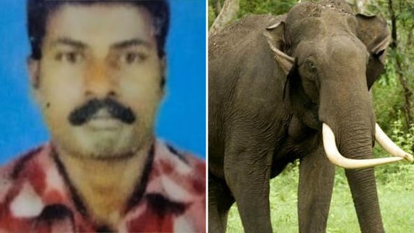 കാട്ടാന ആക്രമണത്തില്‍ യുവാവ് കൊല്ലപ്പെട്ട സംഭവം; ഇന്ന് രണ്ടിടത്ത് കോണ്‍ഗ്രസ് ഹര്‍ത്താല്‍