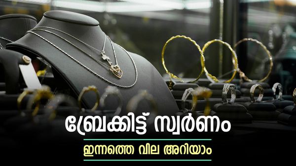 സ്വര്‍ണവില സ്തംഭിച്ചു; സഡന്‍ ബ്രേക്കിന് കാരണം ഇതാണ്... വിപണിയിലെ മാറ്റം അറിയാം, പവന്‍ വില
