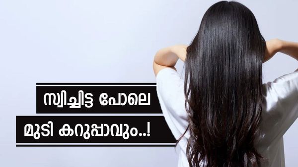 ഇനി മുടി കറുത്തിട്ട് പാറും; നീലയമരി പൊടിയും ഹെന്നയും കൊണ്ടൊരു പ്രകൃതിദത്ത ഡൈ, ഗുണങ്ങൾ ഇങ്ങനെ