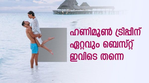 മലേഷ്യയും സിംഗപ്പൂരും ആര്‍ക്കുവേണം, 2024 ല്‍ ഇന്ത്യക്കാര്‍ ഹണിമൂണ്‍ ആഘോഷിച്ചത് ഇവിടെ
