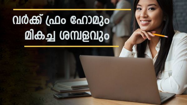 വര്‍ക്ക് ഫ്രം ഹോമും മികച്ച ശമ്പളവും ലഭിക്കണോ? 2025 ല്‍ ഡിമാന്‍ഡ് ഈ ജോലിക്ക്!