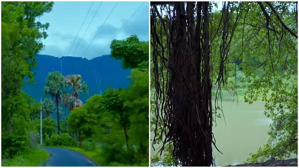 പാലക്കാട് വരെ ചെന്നിട്ട് കൊല്ലങ്കോട് കണ്ടില്ലെങ്കിൽ നഷ്ടമാണേ! 'വെട്ട'ത്തിലെ റെയിൽവേസ്റ്റേഷനും കാണാം