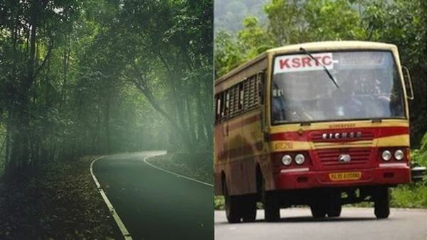 പുതിയ വർഷം , കേരളത്തിലങ്ങോളം യാത്രകൾ.. കണ്ണൂർ മുതൽ കന്യാകുമാരി വരെ, പാലക്കാടിന് സ്പെഷ്യൽ പാക്കേജ്