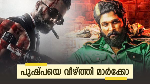 പുഷ്പയേയും വീഴ്ത്തി മാര്‍ക്കോയുടെ തേരോട്ടം... കളക്ഷനില്‍ റെക്കോഡ്, അനിമലും കില്ലും മാറിനില്‍ക്കും