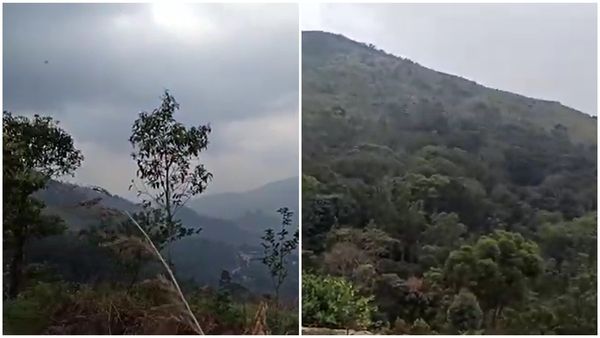 വനത്തിലൂടെ ഒരു സാഹസിക യാത്ര; മതികെട്ടാൻ ചോലയുടെ മനംമയക്കുന്ന കാഴ്ചകൾ കണ്ടുവരാം