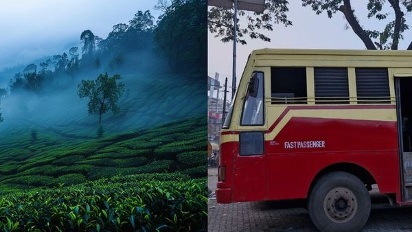 മൂന്നാറിലെ കോടയിൽ ക്രിസ്മസ് തകർക്കാം; രണ്ട് ദിവസം കൊണ്ട് 14 സ്ഥലം കാണാം, കെഎസ്ആർടിസി പാക്കേജ്