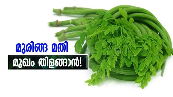 മുഖക്കുരുവൊക്കെ സിമ്പിളായി കളയാം; ചർമ്മത്തിന്റെ പ്രായം 10 കുറയ്ക്കുകയും ചെയ്യാം; മുരിങ്ങ മാത്രം മതി