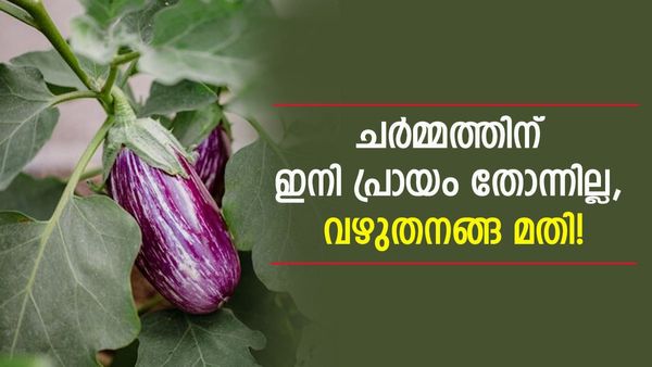 മുഖത്ത് ചുളിവ് വീണുതുടങ്ങിയോ? വഴുതനങ്ങയുണ്ടെങ്കിൽ എന്നും പതിനേഴിന്റെ തിളക്കം നേടാം, 3 ഫേസ് മാസ്ക്കുകൾ ഇതാ