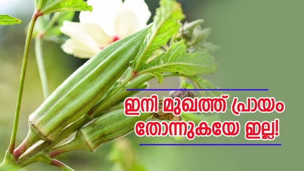 നിങ്ങൾ 30കളിലേക്ക് കടന്നോ? എന്നാൽ പതിവാക്കാം വെണ്ടയ്ക്ക ഫേസ് പാക്ക്, മുഖത്തെ ചുളിവും മാറും പാടുകളും!