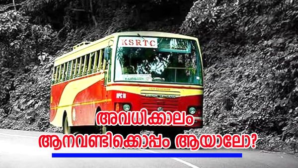 കമ്പത്തെ മുന്തിരത്തോട്ടവും കാണാം, മധുരമീനാക്ഷി ക്ഷേത്രത്തിലും പോകാം; കീശകാലിയാവില്ല, കിടിലൻ പാക്കേജ്