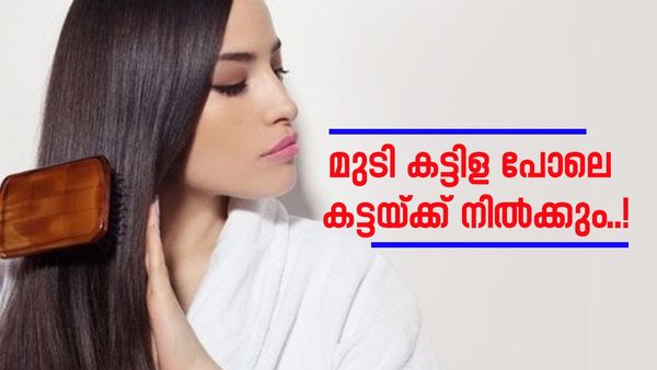 മുടിയുടെ കട്ടികുറവ്‌ വല്ലാതെ അലട്ടുന്നുണ്ടോ? എങ്കിൽ ടെൻഷൻ വേണ്ട, ഈ പഴങ്ങൾ കഴിച്ചാൽ എല്ലാം മാറിമാറിയും