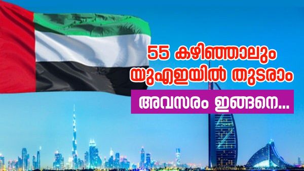 പ്രവാസികൾക്ക് ഹാപ്പി ന്യൂസ്..; വിരമിച്ചവർക്ക് 5 വർഷത്തെ യുഎഇ റെസിഡൻസി വിസ, ഈ നിബന്ധനകൾ പാലിക്കണം