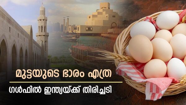 ഖത്തര്‍ കടുപ്പിച്ചു; ഒമാന്‍ പിന്നാലെ... ഇന്ത്യയ്ക്ക് കനത്ത തിരിച്ചടി, 15 കോടിയുടെ മുട്ടകള്‍ കടലില്‍