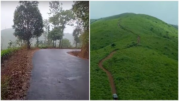 ഇയ്യോബിന്റെ പുസ്തകത്തിലെ അലോഷിയുടെ വഴി; ഉളുപ്പുണിയിലേക്ക് വിട്ടോളൂ, മലയോര സ്വർ​ഗം കാണാം..