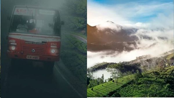 മഞ്ഞിൽ കുളിച്ചുനിൽക്കുന്ന തേയില തോട്ടങ്ങൾ, വളങ്ങാനം വെള്ളച്ചാട്ടം; ഈ പാക്കേജ് പൊളിക്കും