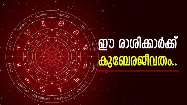 ഇനി തിരഞ്ഞുനോക്കേണ്ട, പണത്തിൽ ആറാടാം; തൊട്ടതെല്ലാം പൊന്നാകും; ഈ രാശിക്കാരണോ?