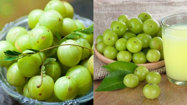 നെല്ലിക്കാ തളം മാത്രമല്ല അതിന്റെ ജ്യൂസും ബഹുകേമം; ഇത്രയധികം ഗുണങ്ങളോ? ബിപി പോലും നിയന്ത്രിക്കും