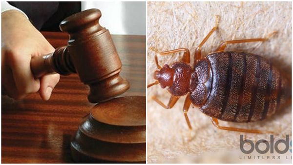 ബസ് യാത്രക്കിടെ മൂട്ട കടിച്ചു; നടന്റെ ഭാര്യയ്ക്ക് 1.29 ലക്ഷം രൂപ നഷ്ടപരിഹാരം നൽകാൻ വിധി..