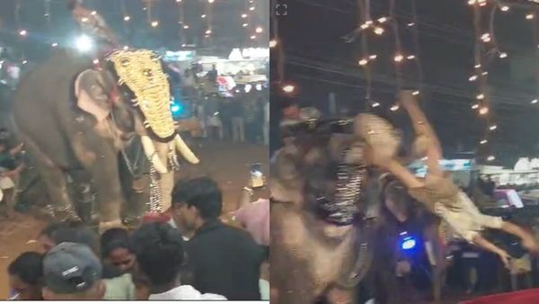 തിരൂർ ബിപി അങ്ങാടി നേർച്ചയ്ക്കിടെ ആന ഇടഞ്ഞു; ഒരാളെ ചുഴറ്റി എറിഞ്ഞു, 17 ഓളം പേർക്ക് പരിക്ക്