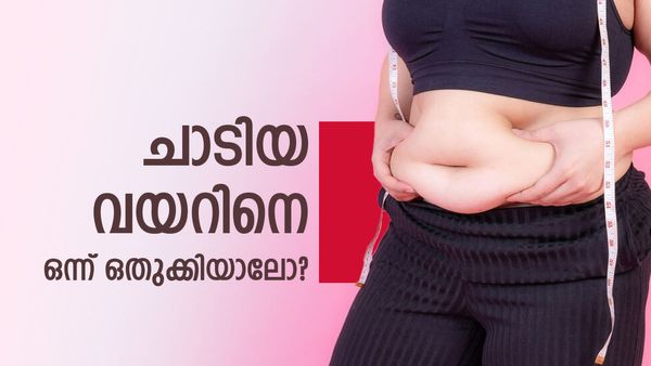 തൂങ്ങിക്കിടക്കുന്ന വയറല്ലേ പ്രശ്നം; വയറിലെ കൊഴുപ്പ് ഇല്ലാതാക്കാൻ ചിയ വിത്തുകൾ ഇതുപോലെ ഉപയോ​ഗിക്കൂ