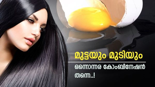 ഇനി മുട്ടയുണ്ടെങ്കിൽ മുടി ഉഷാറാവും; ഈ മാസ്‌കുകൾ ഒന്ന് പരീക്ഷിച്ചാലോ? ഫലം അറിഞ്ഞാൽ നിങ്ങൾ ഞെട്ടും