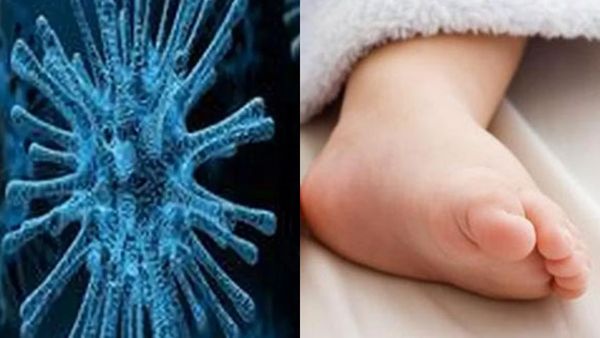 കർണാടകയിൽ രണ്ട് കുഞ്ഞുങ്ങൾക്ക് എച്ച്എംപിവി; വിദേശയാത്ര പശ്ചാത്തലത്തലമില്ലെന്ന് കേന്ദ്ര സർക്കാർ