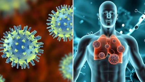 കർണാടകയിലെ എച്ച്എംപിവി കേസുകൾക്ക് ചൈനയുമായി ബന്ധമില്ല; സ്ഥിരീകരിച്ച് കേന്ദ്രം