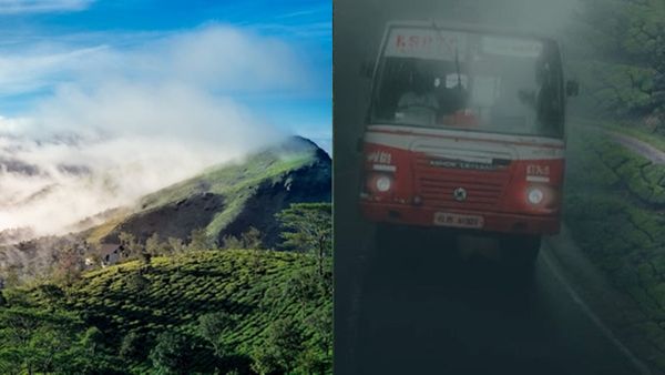 ജനുവരിയിൽ തന്നെ പോകണം.. മഞ്ഞും തണുപ്പും ആസ്വദിക്കാം, ഇടുക്കി മുഴുവൻ കറങ്ങാം