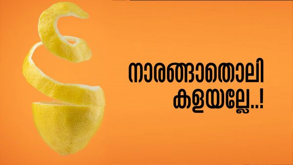 ചെറുനാരങ്ങയുടെ തൊലി കളയല്ലേ! വെല്‍ക്കം ഡ്രിങ്ക് മുതല്‍ ക്ലീനിംഗ് ഏജന്റ് വരെയുണ്ടാക്കാം