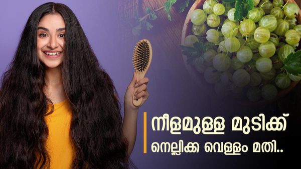 മുടി പനങ്കുല പോലെ വളരാൻ നെല്ലിക്ക വെള്ളം; എങ്ങനെയാണ് തയ്യാറാക്കേണ്ടത്, ഉപയോ​ഗിക്കേണ്ടത്; വിശ​ദമായി അറിയാം