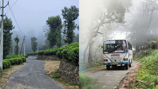 നെല്ലിയാമ്പതി, അതിരപ്പിള്ളി, ഒപ്പം ഇടുക്കിയും... കളർ ആക്കാം യാത്രകൾ; പാക്കേജ് ഇതാ