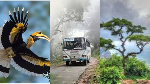  കാനനഭംഗി ആസ്വദിച്ച് ജീപ്പ് സഫാരി; കൊല്ലംങ്കോടും കൽപ്പാത്തിയും കണ്ട് മടങ്ങാം..പാക്കേജ്
