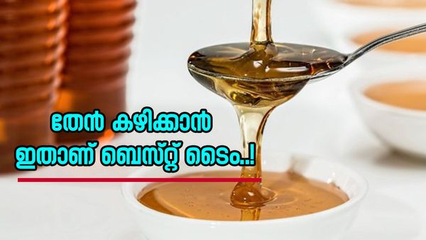 തേൻ കഴിച്ചാൽ ഇത്രയും ഗുണങ്ങളോ? തണുത്ത കാലാവസ്ഥയിൽ അത്യുത്തമം, ചർമ്മത്തിനും ഫലം കിട്ടും, എങ്ങനെ?