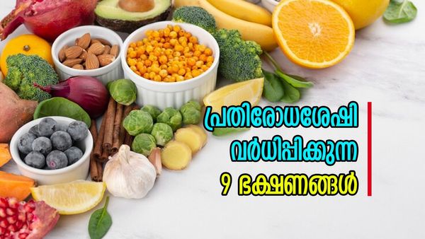 ചുറ്റും രോ​ഗങ്ങളാണ് കരുതൽ വേണം; പ്രതിരോധശേഷി വർധിപ്പിക്കാൻ ശ്രദ്ധിക്കാം ഇക്കാര്യം
