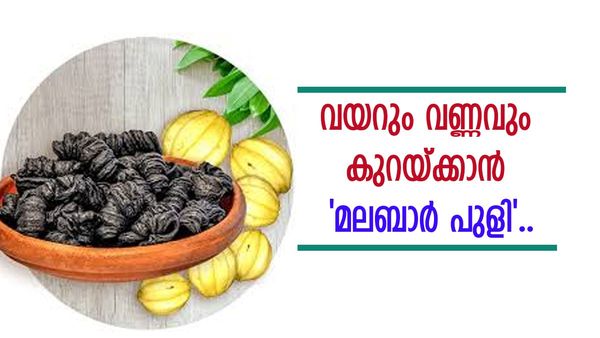 തടി കുറയ്ക്കാനുള്ള വഴി അടുക്കളയിലുണ്ട്! മലബാർ പുളി തന്നെ, ഞെട്ടിപ്പോയോ? വിശദമായി അറിയാം..