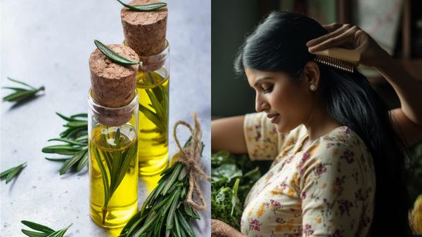 മുടി പനങ്കുല പോലെ തഴച്ചുവളരും, പട്ട് പോലെ മൃദുലമാവും; റോസ്മേരി എണ്ണയുണ്ടോ? എങ്കിൽ ഇങ്ങനെ ചെയ്യൂ 