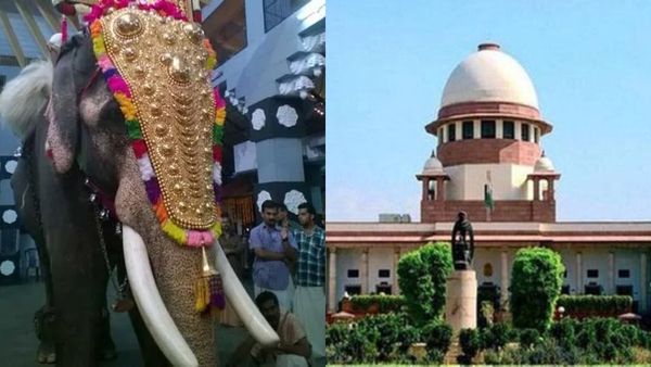 ആന എഴുന്നള്ളത്തിൽ മൃഗസ്നേഹികൾക്ക് തിരിച്ചടി; ചട്ടങ്ങൾ പാലിച്ച് നടത്താമെന്ന് സുപ്രീം കോടതി