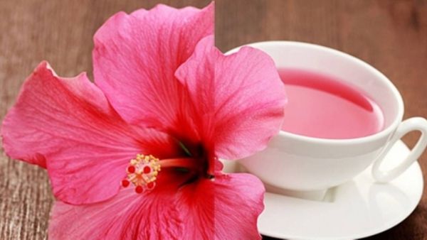 ചെമ്പരത്തി ചായ കുടിച്ച് തടി കുറക്കാമെന്നോ? വേറേയും ഉണ്ട് ഗുണങ്ങൾ, അറിയാം